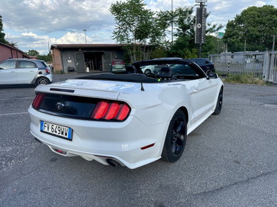 Ford Mustang Cabrio Convertible 2.3 EcoBoost (10)