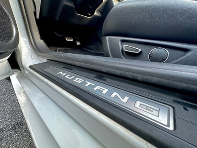 Ford Mustang Cabrio Convertible 2.3 EcoBoost (14)