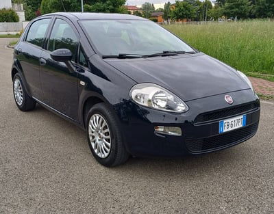Fiat Punto 1.2 8V 5 porte Lounge usata