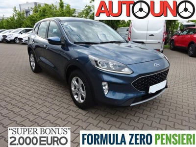 Ford Kuga 1.5 EcoBlue 120 CV 2WD ST-Line usata