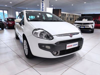 Fiat Punto Evo 1.4 5 porte Active EasyPower usata