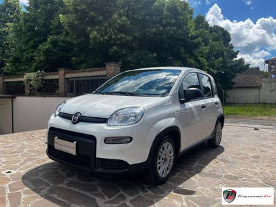 Fiat Panda 1.0 FireFly S&S Hybrid City Cross usata