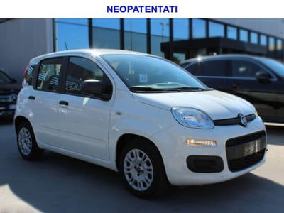 Fiat Panda 1.0 firefly hybrid s&s 70cv 5p.ti usata
