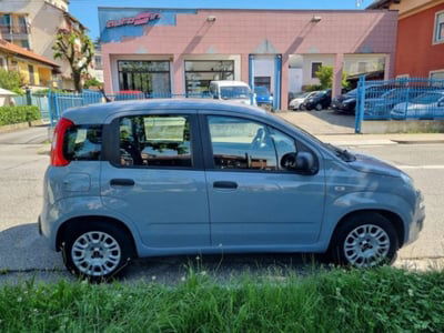 Fiat Panda 1.2 EasyPower Easy usata