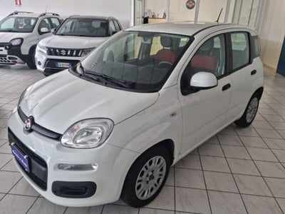 Fiat Panda 1.0 FireFly S&S Hybrid Easy usata