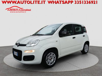 Fiat Panda 1.2 Easy usata