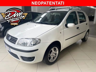 Fiat Punto 1.2 5 porte Active usata