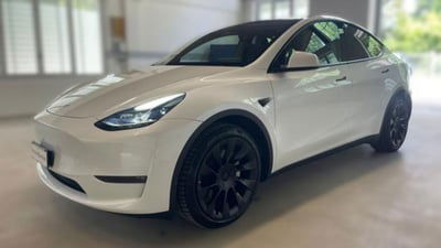 Tesla Model Y Long Range awd usata