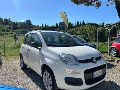 Fiat Panda 0.9 TwinAir Turbo Natural Power Young usata
