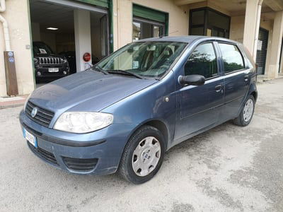 Fiat Punto 1.2 5 porte Active usata