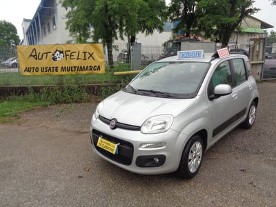 Fiat Panda 1.2 Easy usata