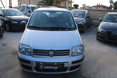Fiat Panda 1.2 Dynamic usata