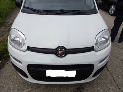 Fiat Panda 1.2 Easy usata