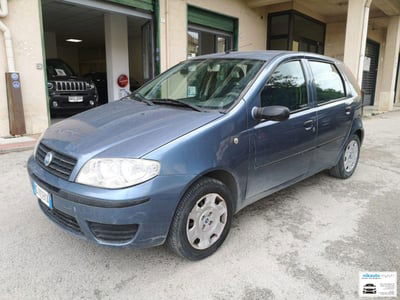 Fiat Punto 1.2 5 porte Active usata