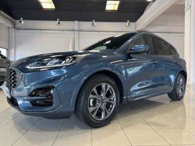 Ford Kuga 2.0 EcoBlue 120 CV aut. 2WD ST-Line X