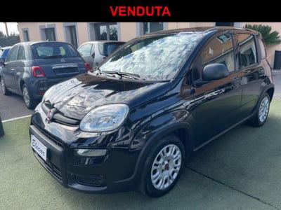 Fiat Panda 1.0 firefly hybrid s&s 70cv 5p.ti usata