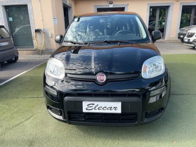 Fiat Panda 1.0 firefly hybrid s&s 70cv 5p.ti usata