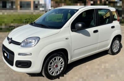 Fiat Panda 1.3 MJT 80 CV S&S Easy usata