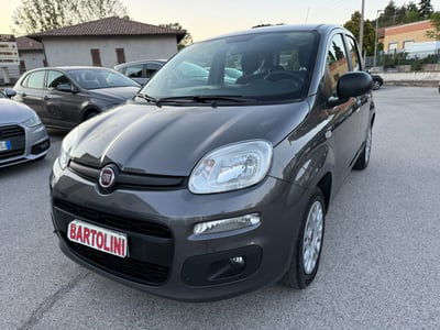 Fiat Panda 1.2 Easy usata