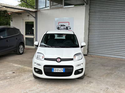 Fiat Panda 1.2 EasyPower Easy usata
