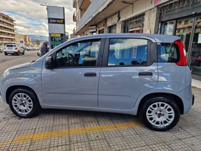 Fiat Panda 1.2 Easy usata