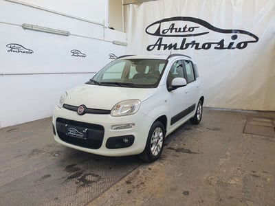 Fiat Panda 1.2 Lounge usata