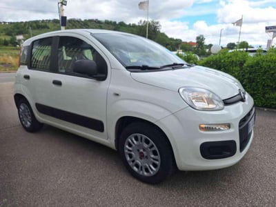 Fiat Panda 1.2 Easy usata