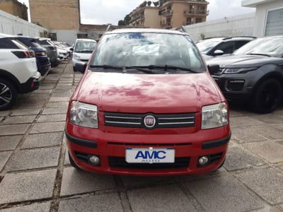 Fiat Panda 1.2 Dynamic Natural Power usata