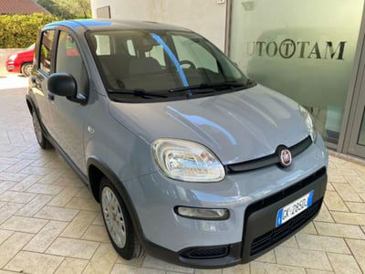 Fiat Panda 1.0 firefly hybrid s&s 70cv 5p.ti usata