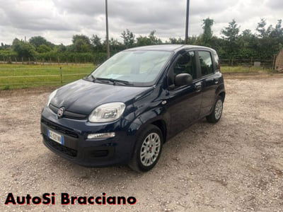 Fiat Panda 1.2 Easy usata