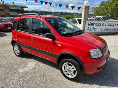 Fiat Panda 1.3 MJT 16V 4x4 Climbing usata