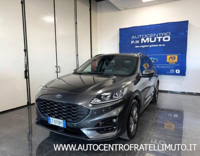 Ford Kuga 2.0 EcoBlue 120 CV aut. 2WD ST-Line X usata