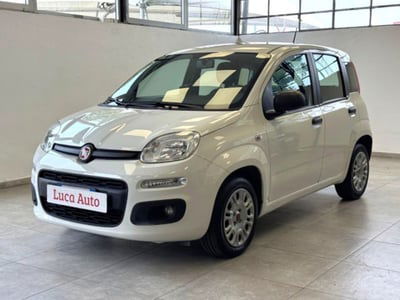 Fiat Panda 1.2 EasyPower Sport usata