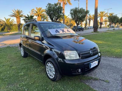 Fiat Panda 1.2 4x4 usata