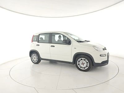 Fiat Panda 1.0 FireFly S&S Hybrid City Cross usata