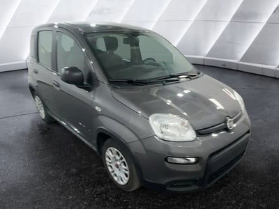 Fiat Panda Cross Cross 1.0 FireFly S&S Hybrid usata