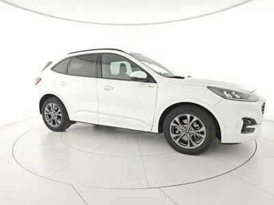 Ford Kuga 2.0 EcoBlue 120 CV aut. 2WD ST-Line X usata