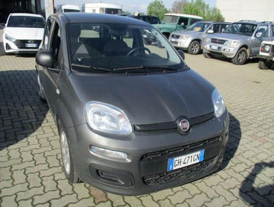 Fiat Panda 1.0 FireFly S&S Hybrid City Cross usata