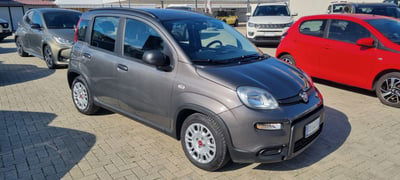 Fiat Panda Cross Cross 1.0 FireFly S&S Hybrid usata