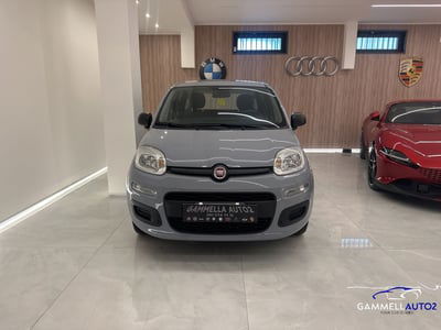 Fiat Panda 1.2 Easy usata
