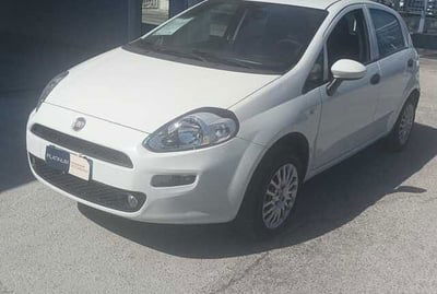 Fiat Punto 1.4 S&S 8V 5 porte Street usata