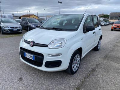 Fiat Panda 0.9 TwinAir Turbo Natural Power Easy usata