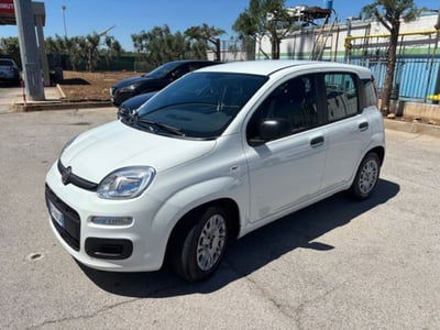 Fiat Panda 1.0 FireFly S&S Hybrid usata