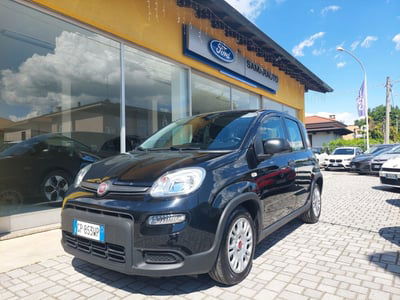 Fiat Panda 1.0 FireFly S&S Hybrid City Life usata