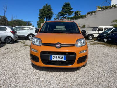 Fiat Panda Cross Cross 1.0 FireFly S&S Hybrid usata