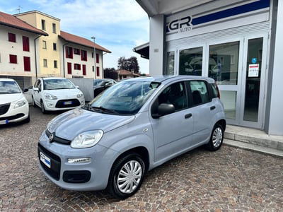 Fiat Panda 1.2 Easy usata