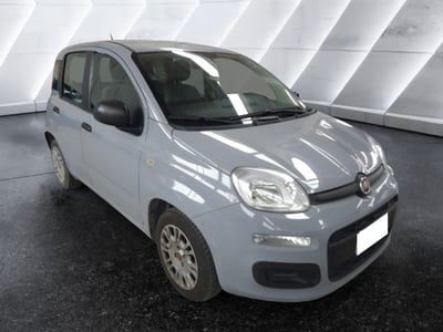 Fiat Panda Cross Cross 1.0 FireFly S&S Hybrid usata