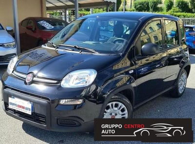 Fiat Panda 1.0 FireFly S&S Hybrid usata
