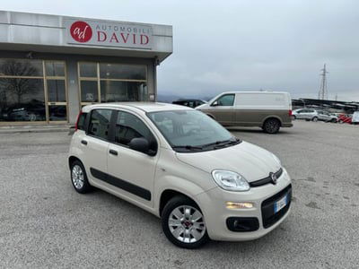 Fiat Panda 1.2 EasyPower Easy usata