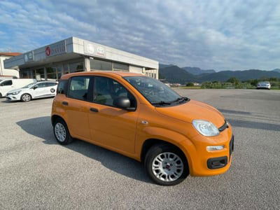 Fiat Panda 1.2 Easy usata